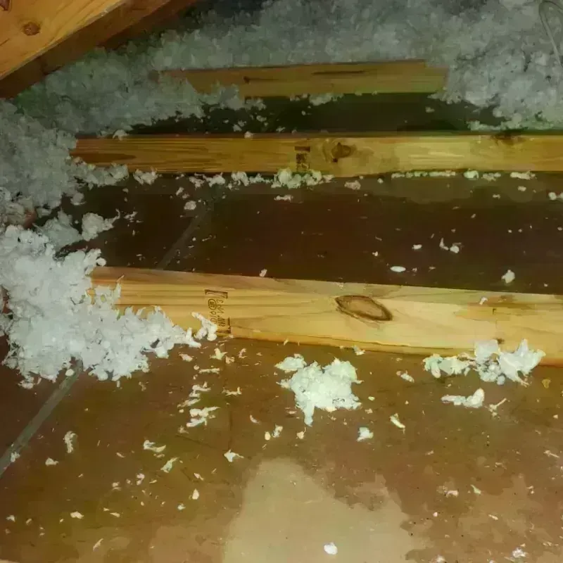 Attic Water Damage in Tellico Village, TN